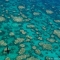 Arrecifes en peligro: ¿podremos salvarlos?