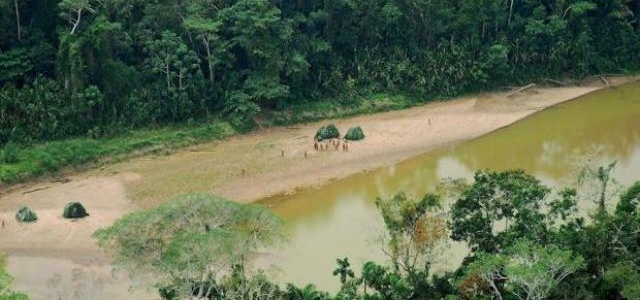 ¿Sobrevivirá la Amazonía al cambio climático?