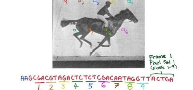 Insertan un GIF en el ADN de una bacteria viva con el «corta-pega» genético